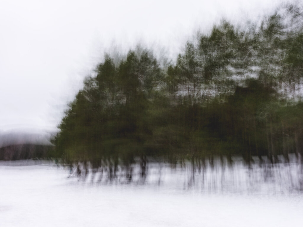 Cairngorms-0124-0279.jpg