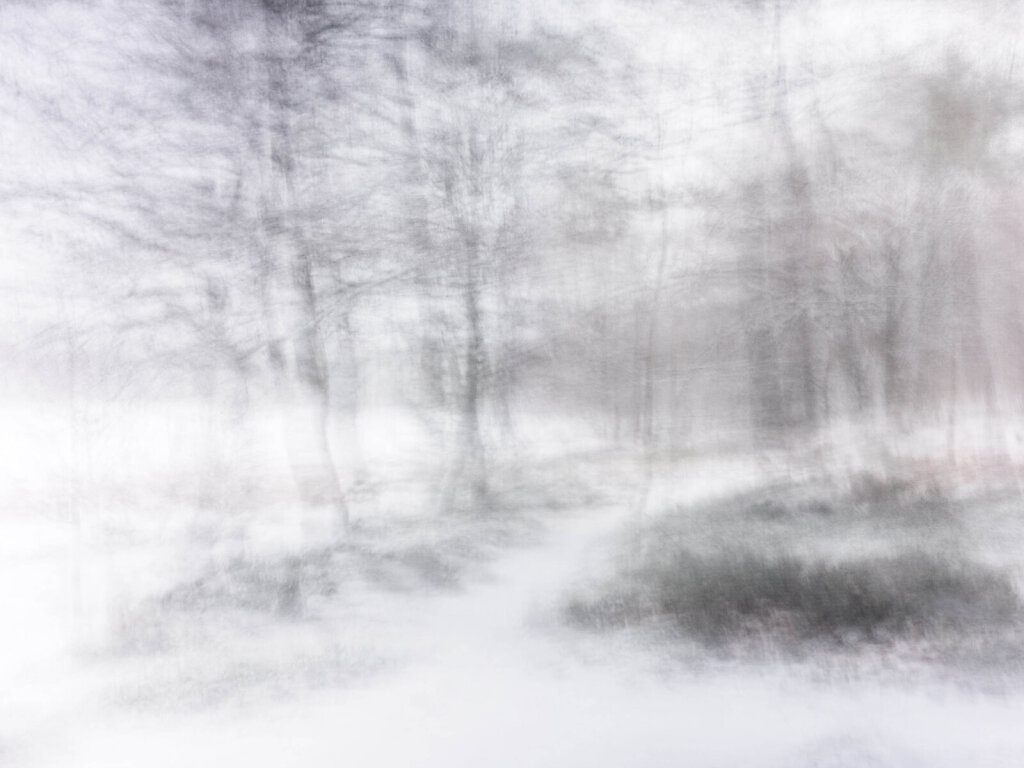 Jon-Day-Photography-wwwjondayphotographycom-Cairngorms-0124-0343.jpg
